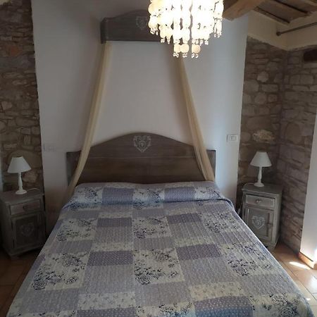 Fra Bosco E Cielo B&B Mercato Saraceno 外观 照片