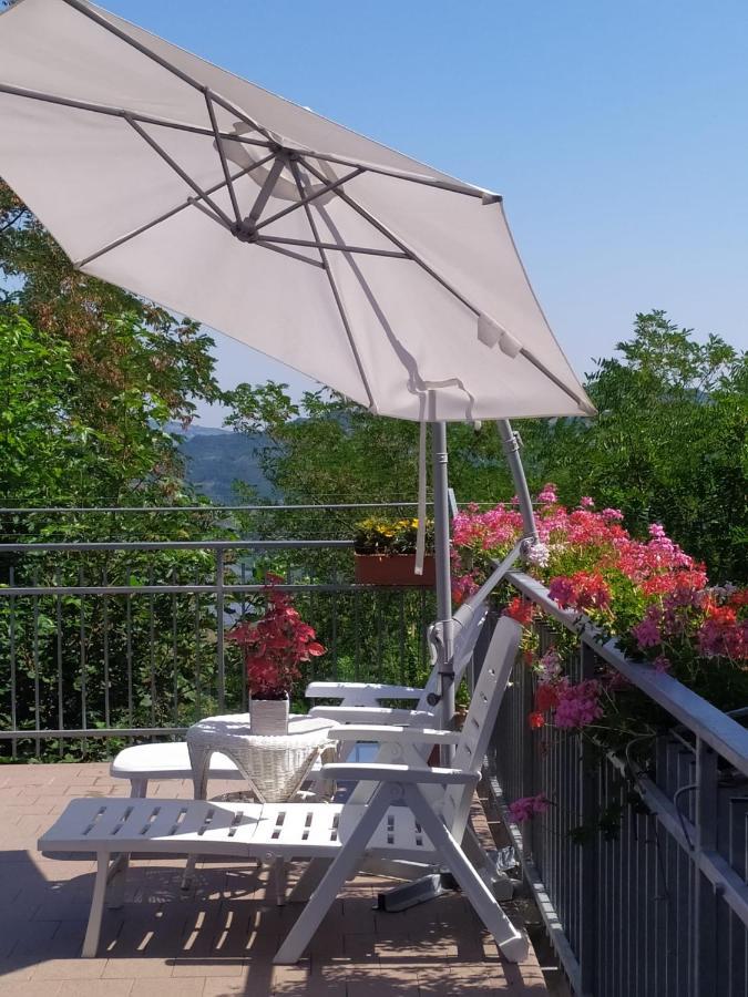 Fra Bosco E Cielo B&B Mercato Saraceno 外观 照片