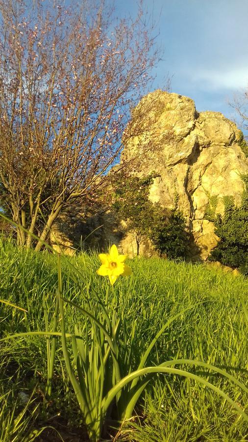 Fra Bosco E Cielo B&B Mercato Saraceno 外观 照片
